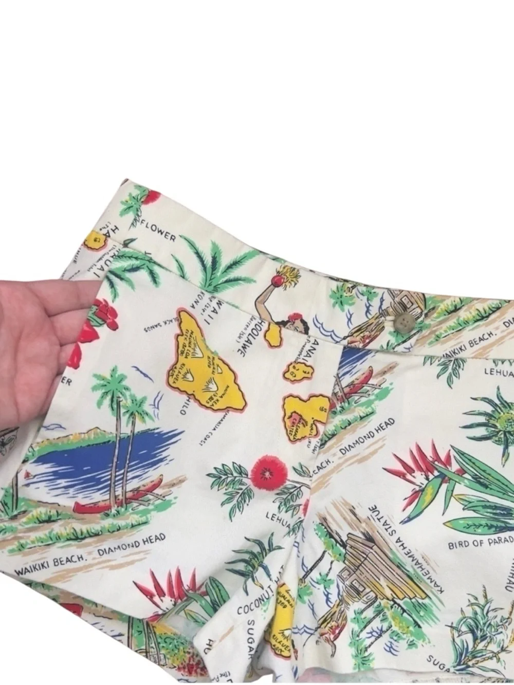 J. CREW Chino City Fit Novelty Hawaiian Map Print Short Shorts Size 8 -- SO CUTE